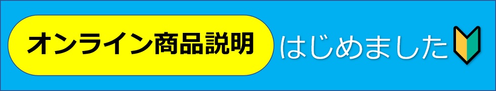 オンライン商品説明